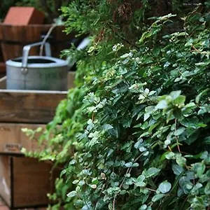 Hotel Garden, Kyoto
